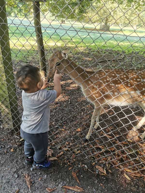 Ausflug in den Tierpark